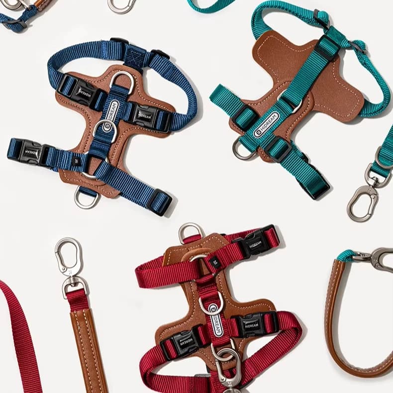 Gilet per imbracatura toracica per cani Assorbimento degli urti anti-pull multifunzionale