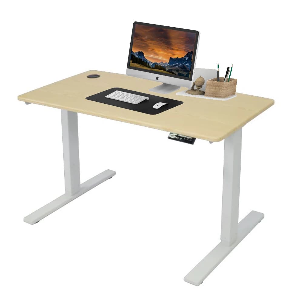 Mobili per ufficio Tavolo elettrico ergonomico di lusso ad altezza regolabile Scrivania per computer in piedi con doppi motori