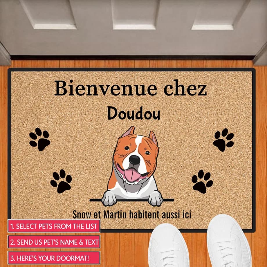 Tappetino Personalizzato per Cani e Gatti, Zerbino di Benvenuto per Animali Domestici, Tappeto per Corridoio e Ingresso, Tappetini Personalizzati, Accessorio Decorativo per la Casa
