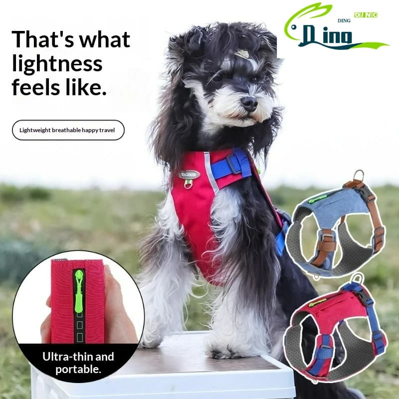 Nuova Imbracatura Leggera per Animali Domestici, Comoda e Traspirante, Guinzaglio per Cani Schnauzer, Accessori per Cuccioli da Esterno
