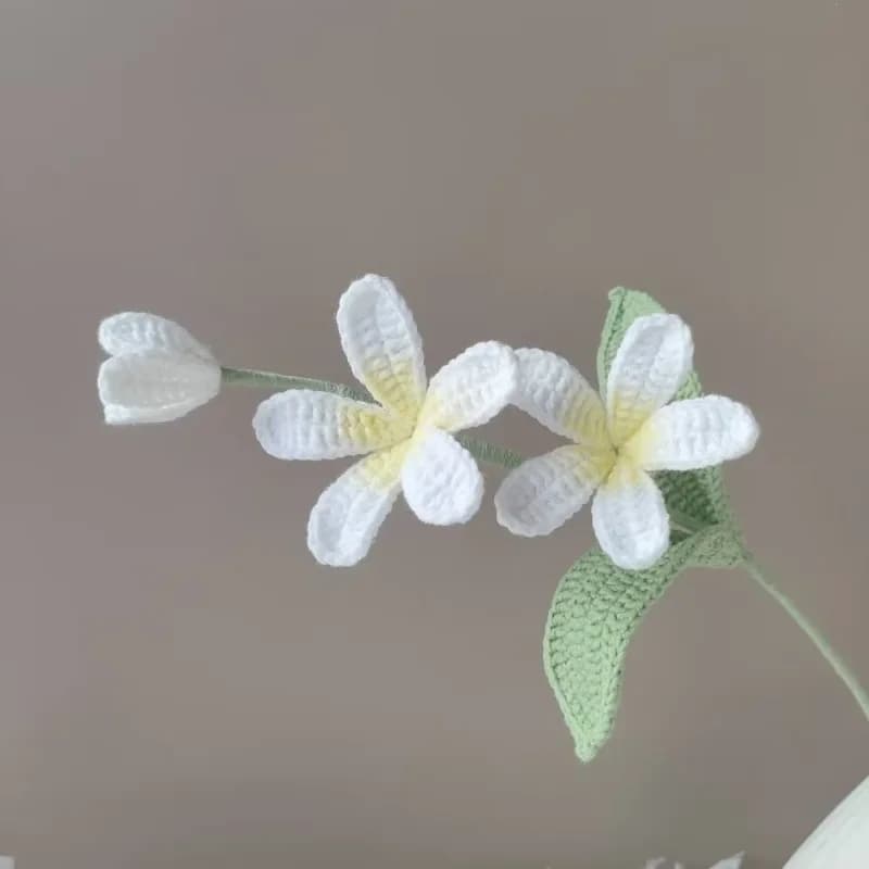 No 1pc creative handmade jar Frangipani crochet plant artificial ornaments finished home decoration exquisite flower eternal