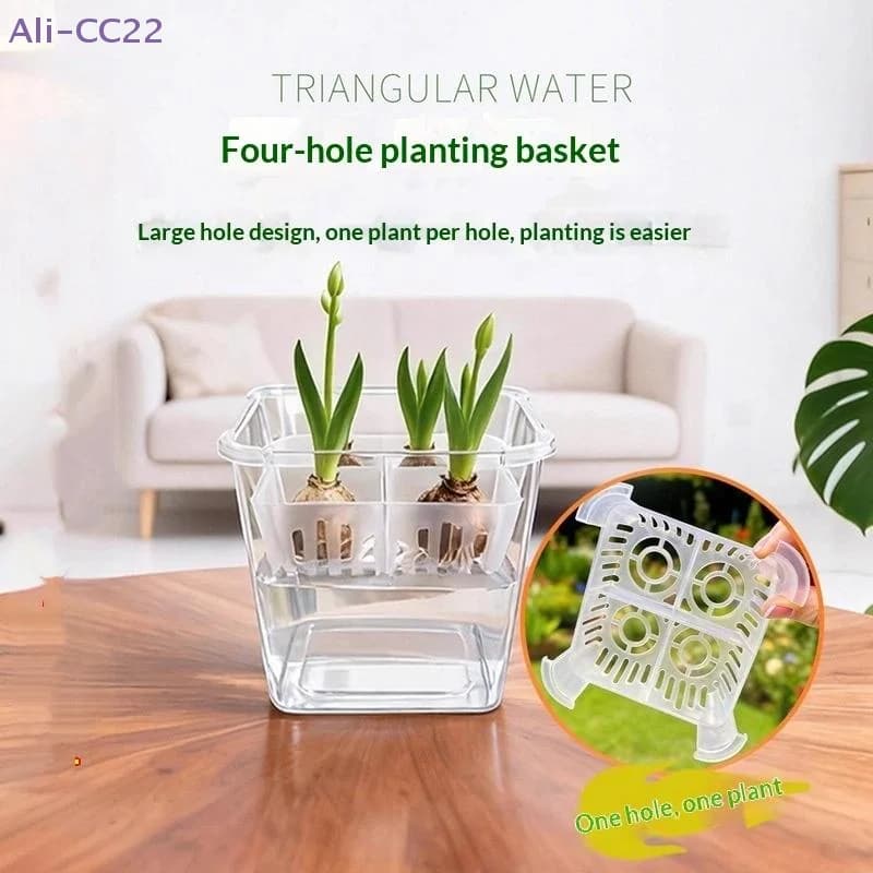 4 Holes Hydroponic Containers With Breathable Support Basket, Hydroponic Vase Without Tulip Seeds, Home Decoration