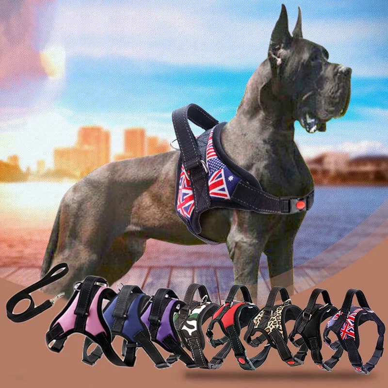 Nuova Pettorina per Cani con Nastro Riflettente e Rete Traspirante, Guinzaglio per Cani S/M/L/XL, Accessori per Collari per Cani, Dropship