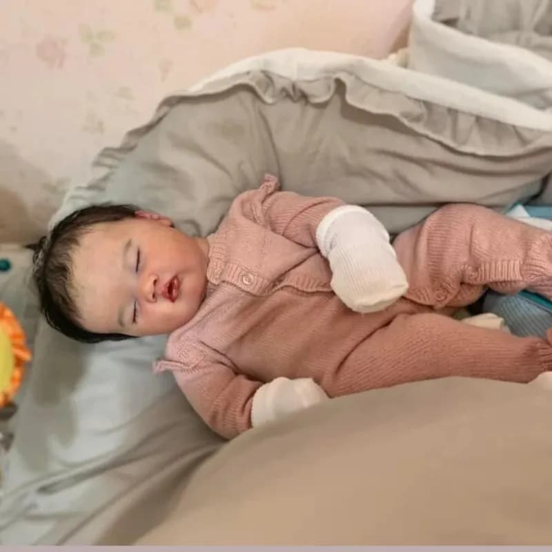 19 Inch Newborn Doll Reborn Ashia Realistic 3D Painted Leather with Visible Venues Multilayer Art Doll Bebe Reborn