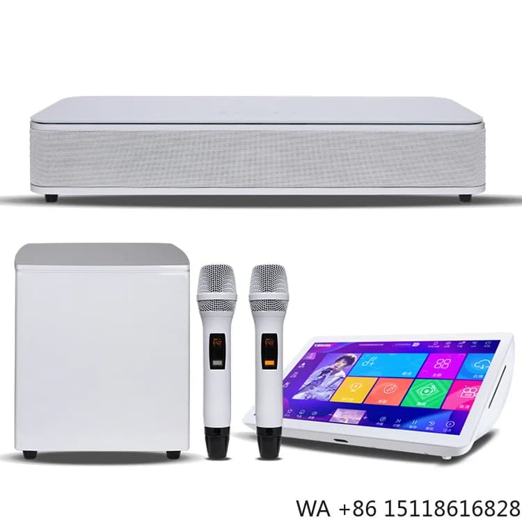Professional Home KTV Equipment 19.5inch Subwoofer Speaker Full Set Family Karaoke Machine with Professional Features