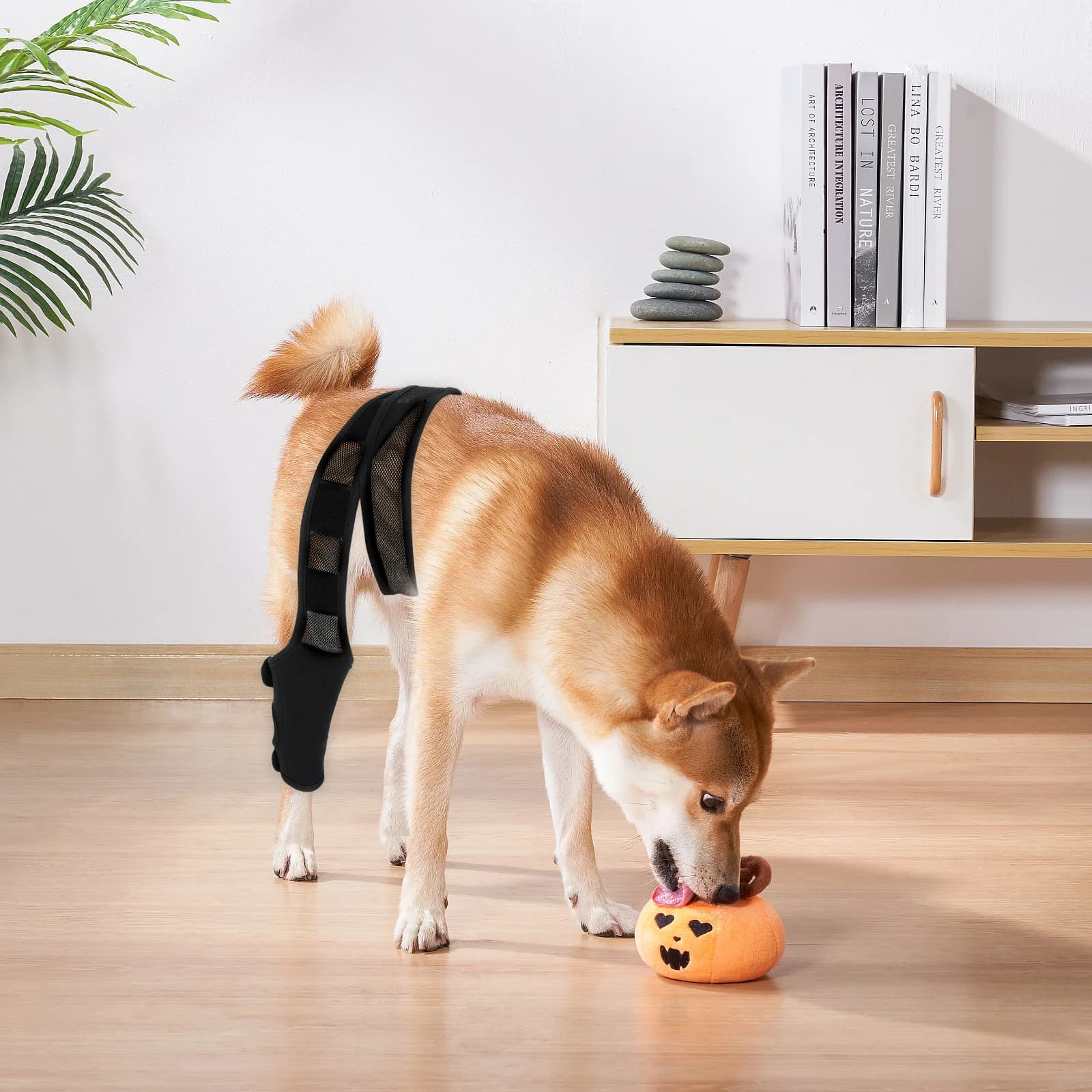 Tutore per gamba per cani Protezione per ginocchio Tessuto a rete in neoprene Elastico regolabile Traspirante Manicotto di supporto per lesioni per animali domestici Passo nella imbracatura per cani