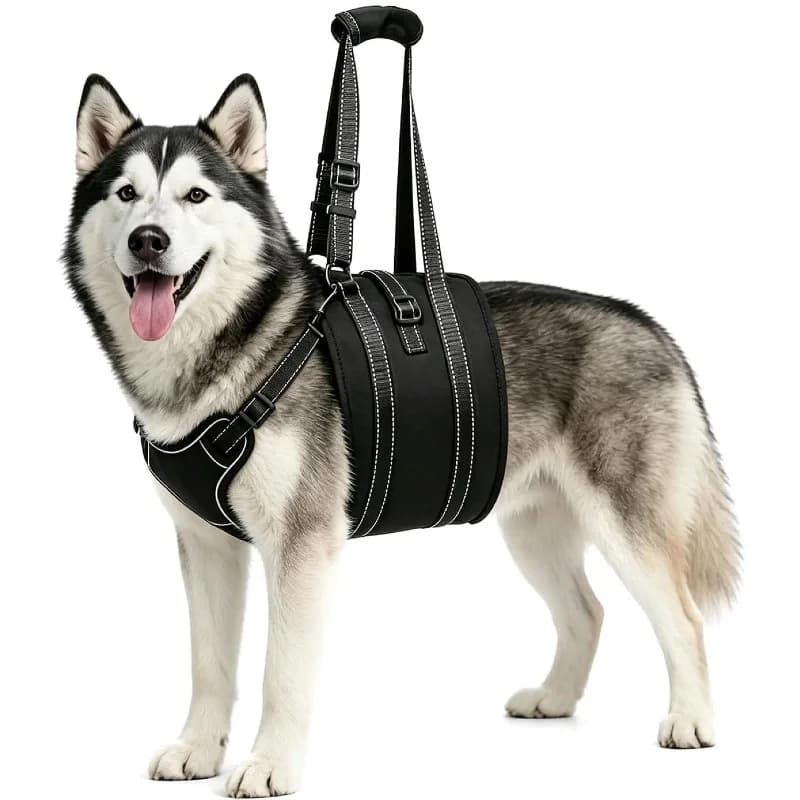 Dog Rehabilitation Assistance with Disabled Medium Large Dogs for Travel Assistance Hand-held Pet Chest and Back Traction Rope