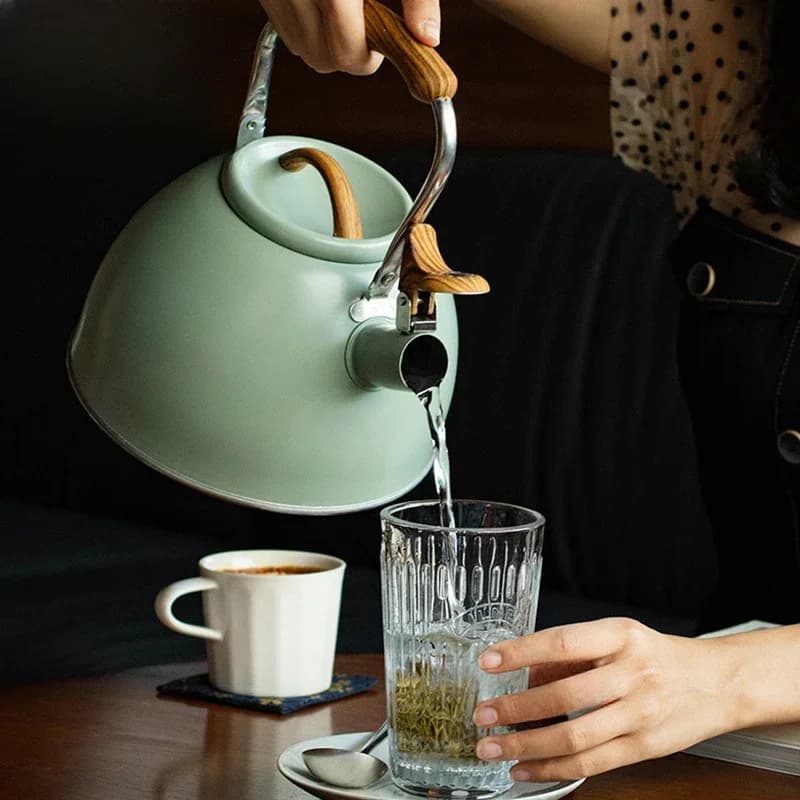 Kettle with whistle 3L paint Spray green light water kettle stainless steel camping teapot to boil water whistle Gas cooker