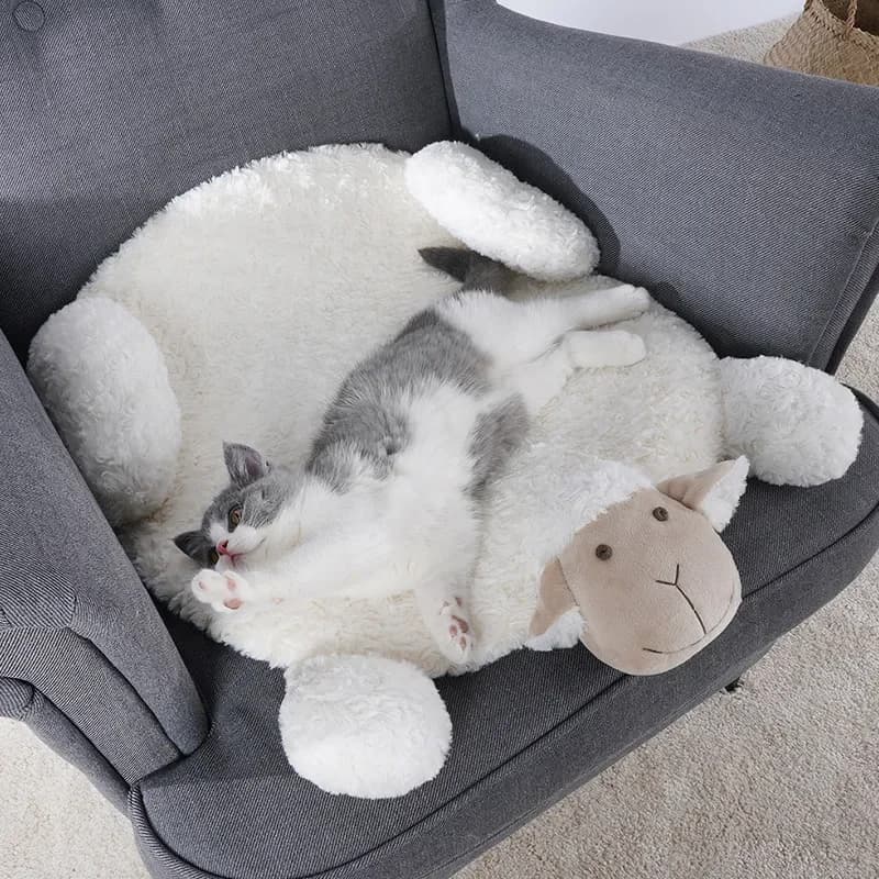 Morbido Gatto Letti Zerbino Inverno Addensare A Pelo Caldo Piccolo Pecore cashmere Coperta Pet Base Del Cane per le Piccole e Medie Cani Gatti forniture Per animali da compagnia