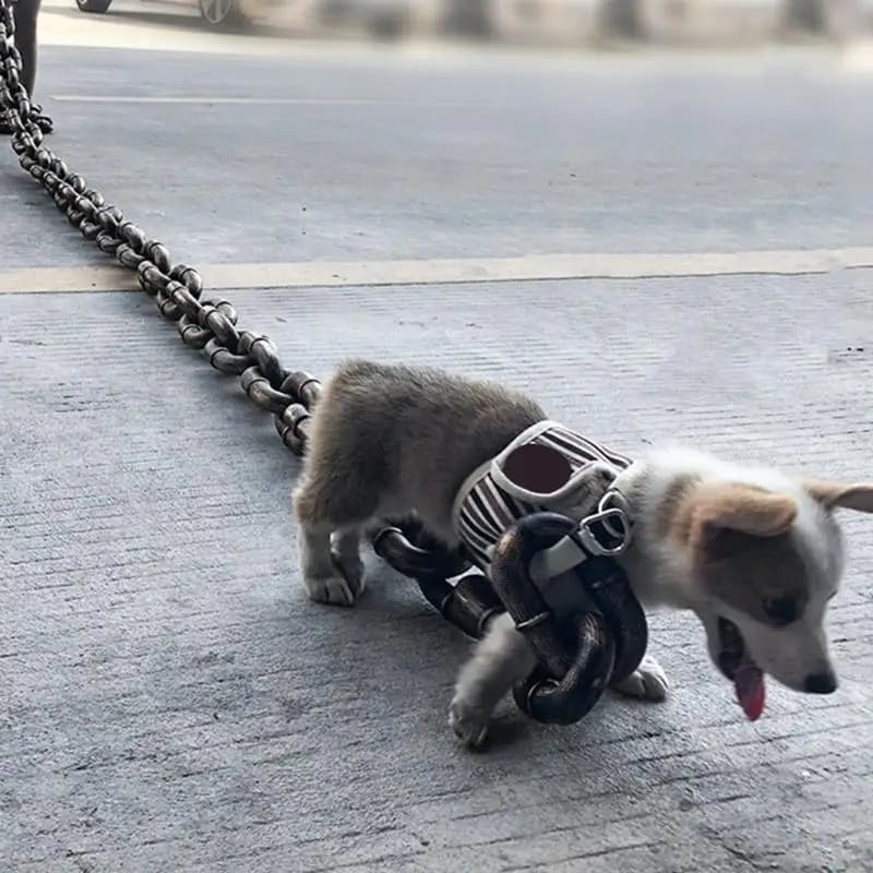 62KD Accessorio per guinzaglio lungo per animali domestici Catena ferro divertente Accessori per foto Puntelli Catena
