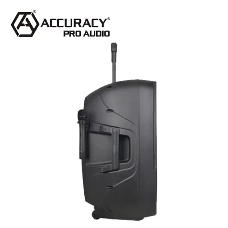 Precision Pro Audio PML15AMFQ-V2BP-BT 100W Altoparlanti amplificati da 15 pollici Altoparlante karaoke con microfono e Bluetooth