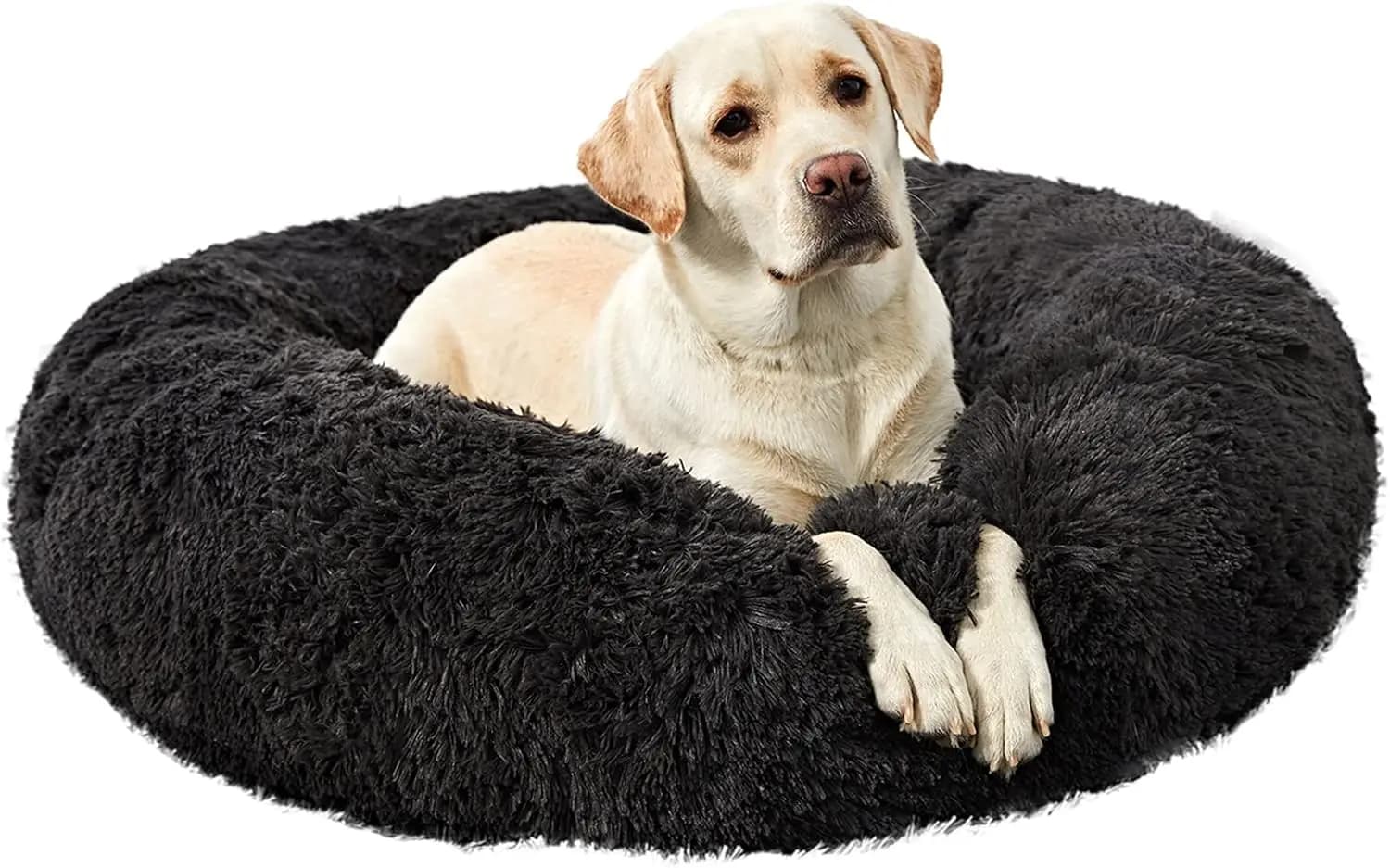 Cuccia Rotonda XL Lavabile per Cani, Comoda e Calmante per Animali Domestici