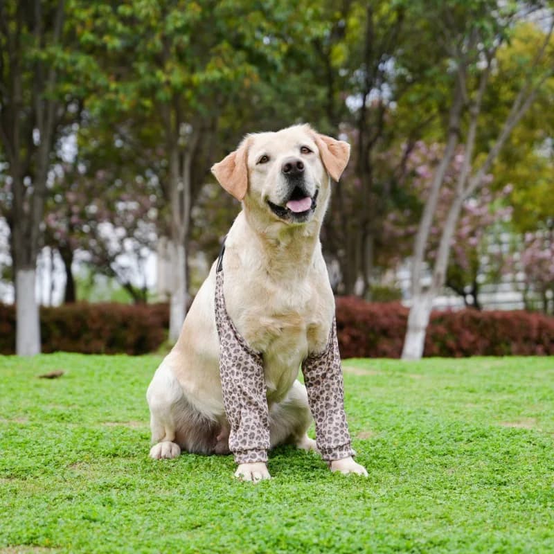 New Pets Knee Pads Dog Elbow Protection Clothes Golden Retriever Labrador Front Leg Joint Protector Keep Away From Dirt And Dust