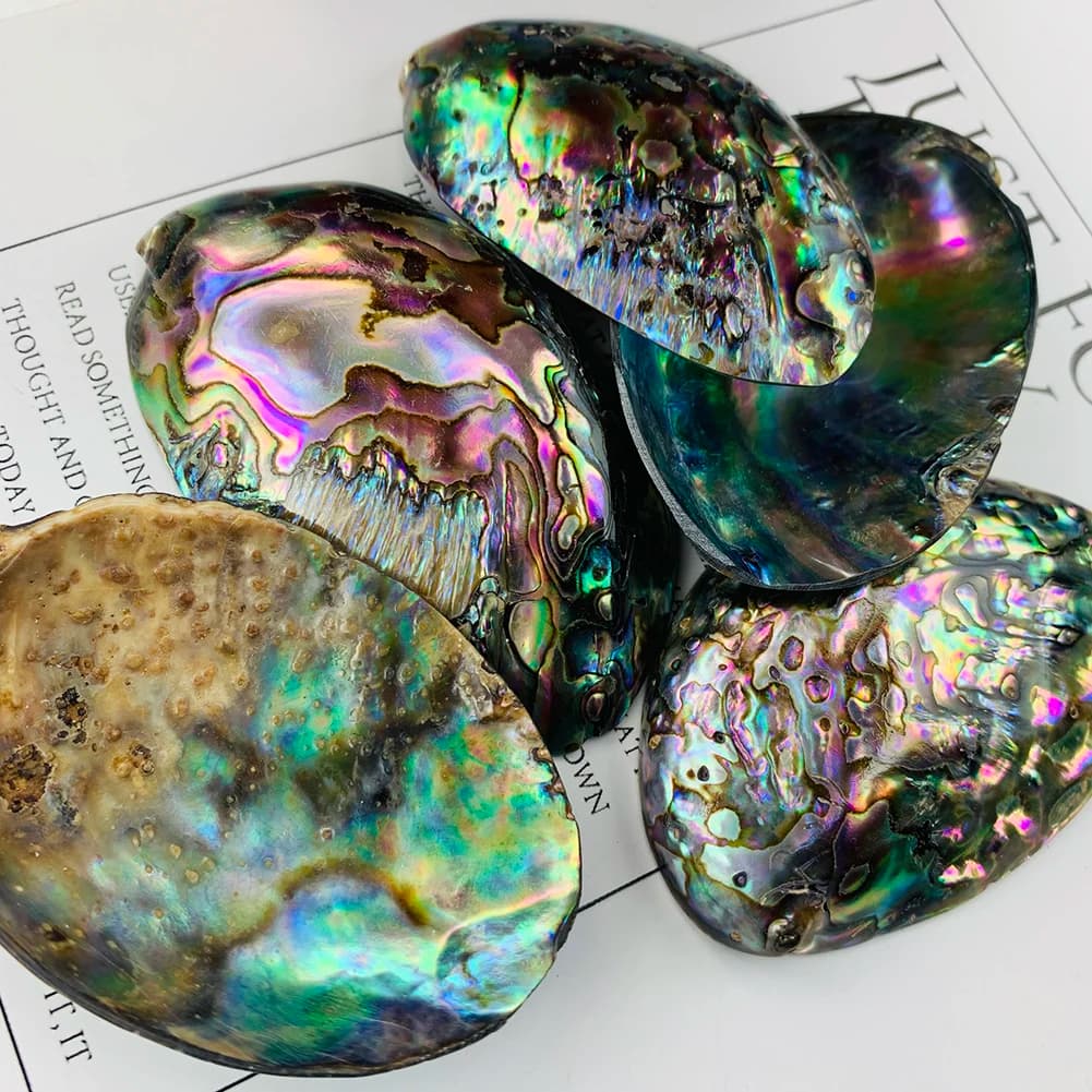 2PC 25-30mm Natural Abalone Shell Double-sided Aurora Pendant Paua MOP Charm DIY Necklace Jewelry Making Ocean Scene Decor Gifts