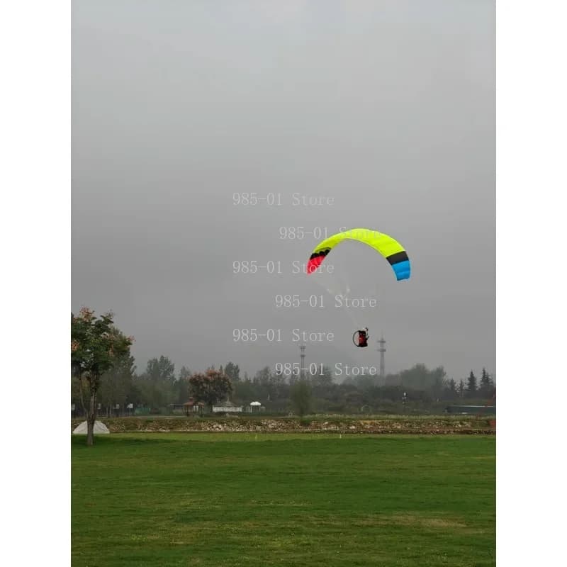 Remote drone with Ala Delta 1M 1.28M 1.5M, Aeromodel with Motor 2212