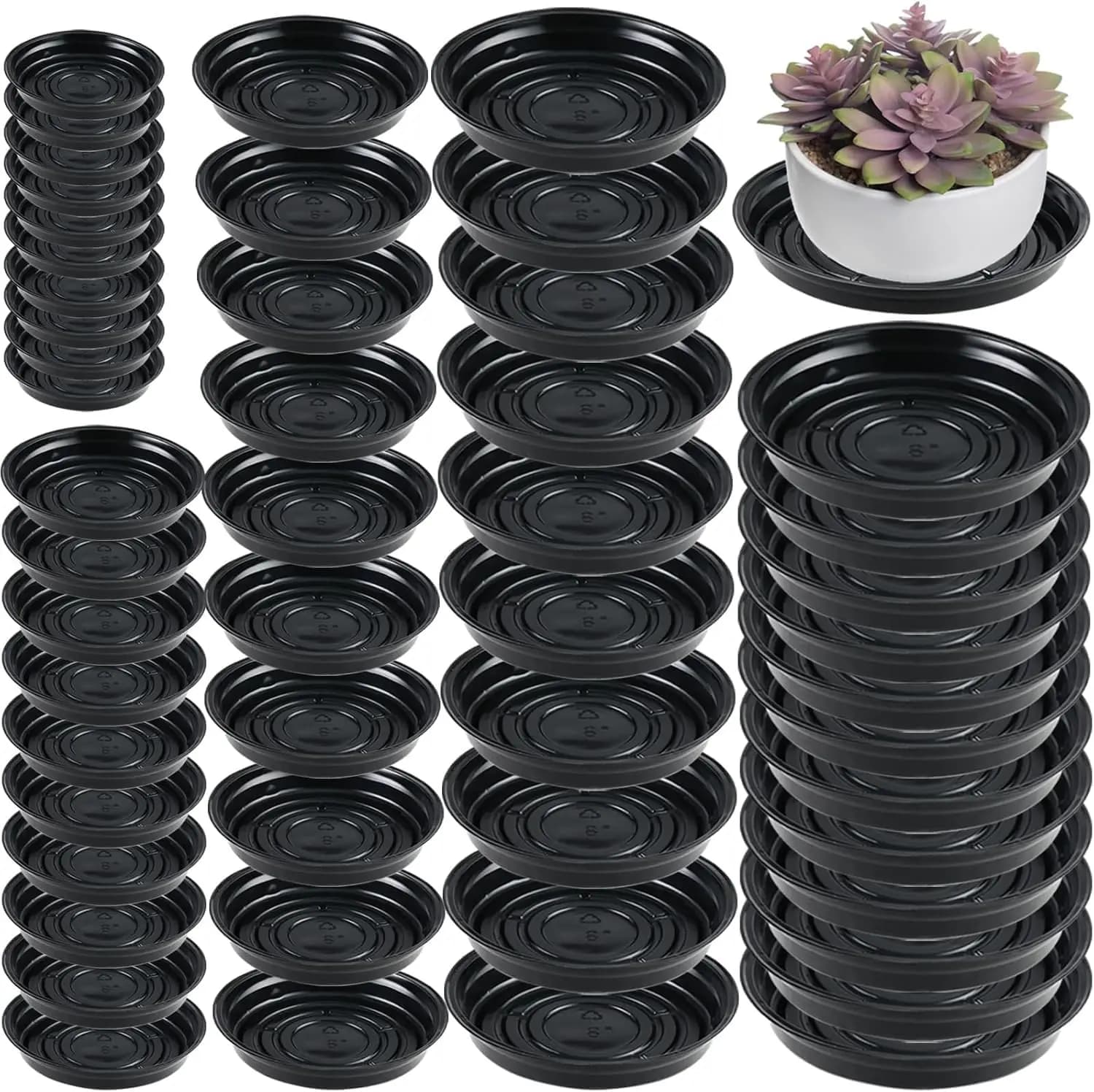 50 Packs of 4/6/8/10/12 Plants for Internal and Exterior Use, Plastic Plates Resistant for Vases, Packaging Convenience Round