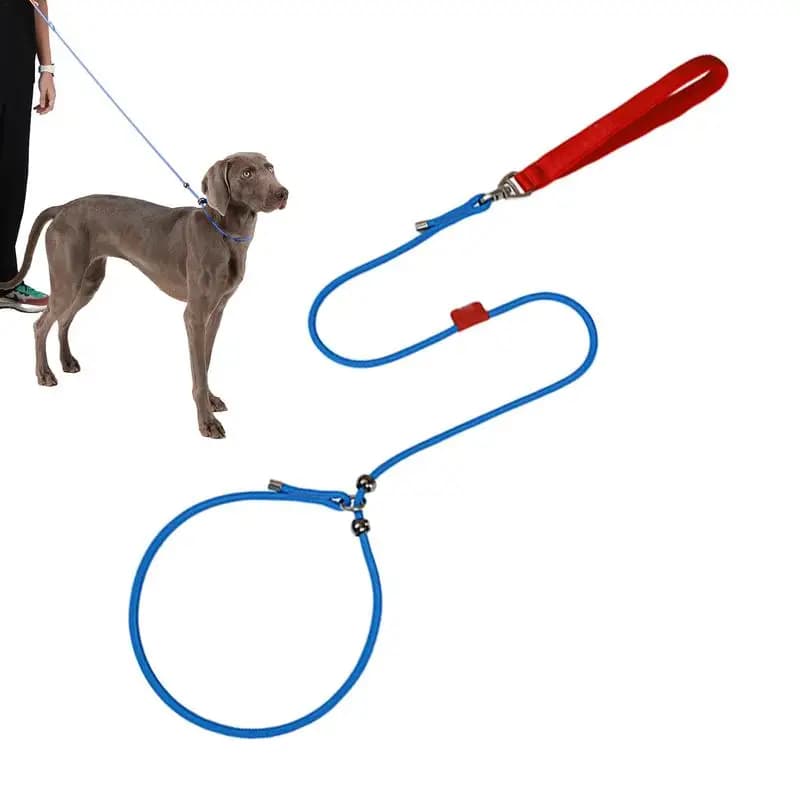 Guinzagli per cani di piccola taglia 59in cinghia di piombo per addestramento di cuccioli comoda imbracatura a prova di fuga regolabile rotazione Anti-nodo a 360 gradi