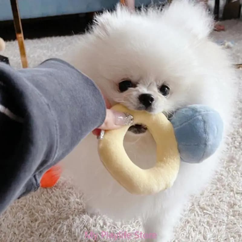 Giocattolo da masticare per cani peluche giocattolo per cani per masticatori aggressivi Squeaky farcito anello di fidanzamento massaggiagengive giocattolo per l'allenamento giocattolo interattivo