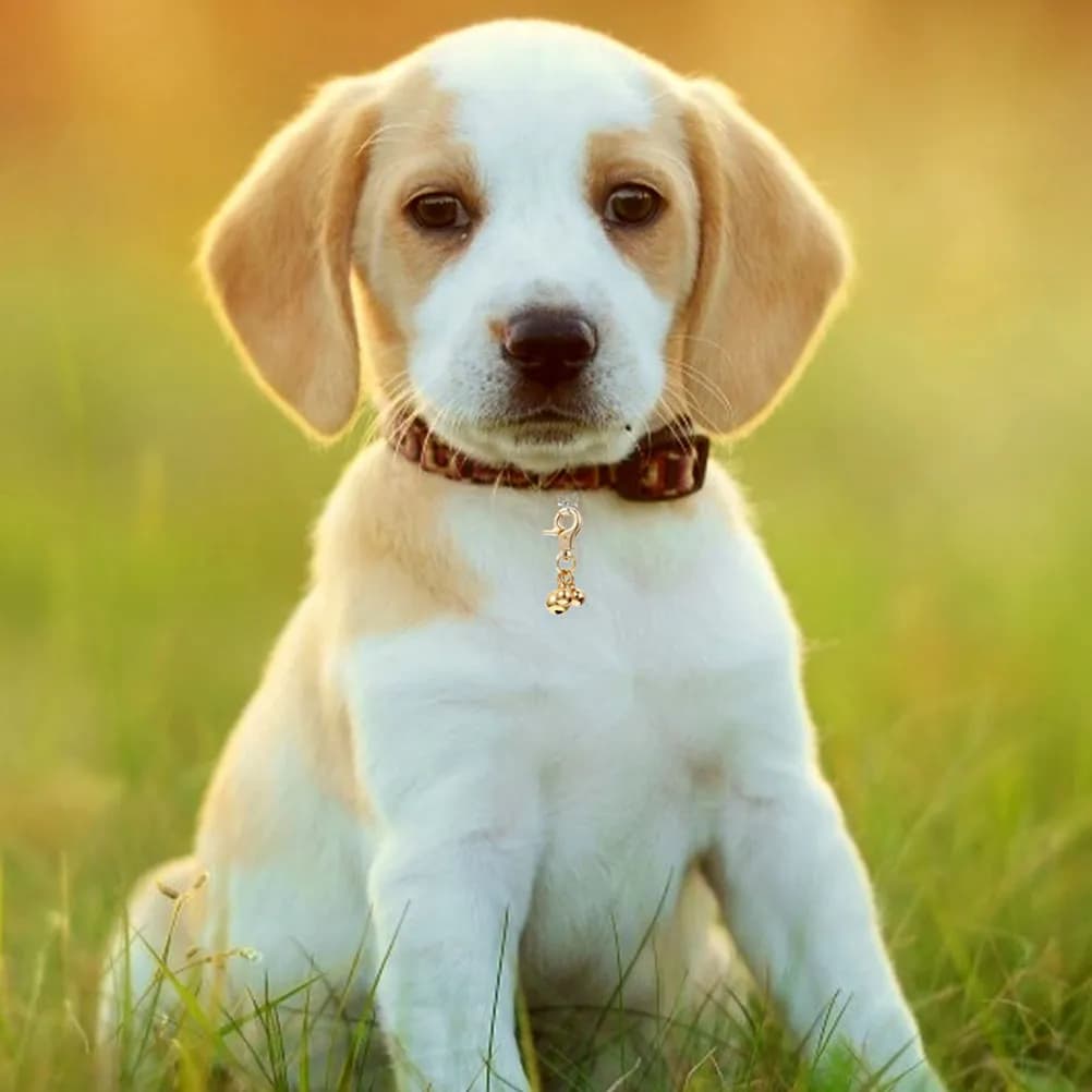 2 Pezzi Campanello Pendente per Collare di Cane e Gatto, Suono Chiaro, con Moschettone, Accessorio per Addestramento e Localizzazione