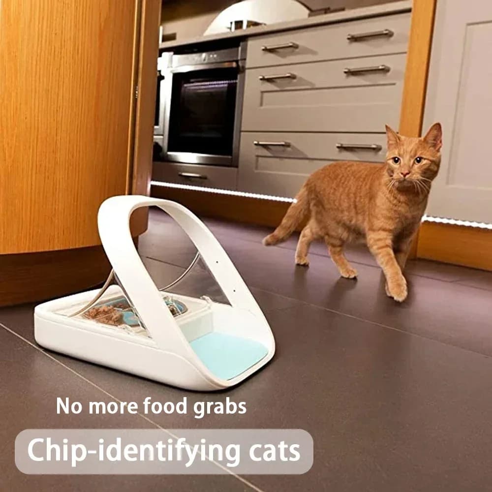 Hot Dea Smart Feeder Nessun cavo di ricarica Surefeed UK Sensore di riconoscimento chip Automatico per alimenti bagnati Ciotola per animali freschi a prova di verme