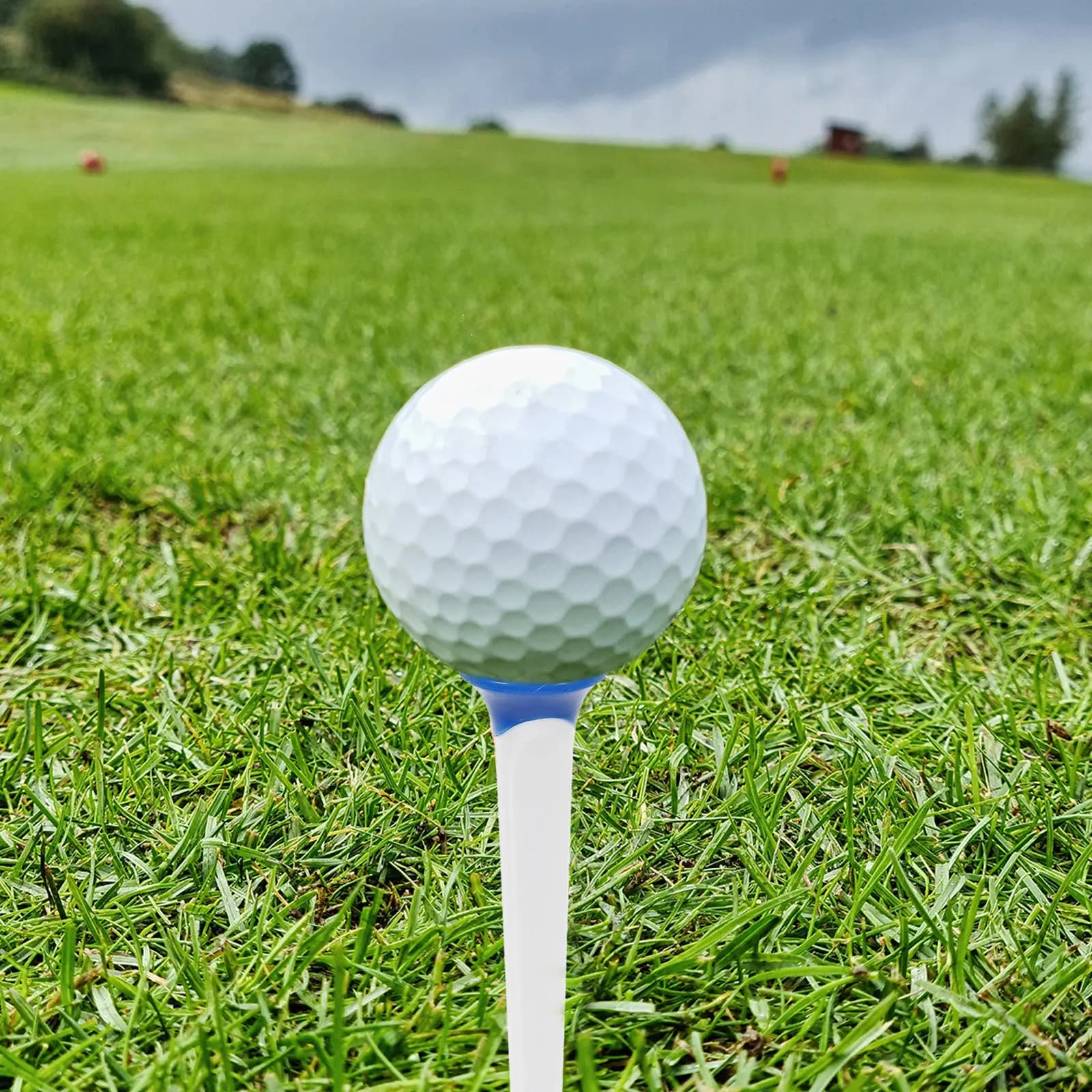 10Pcs Golf Tees Golf Ball Holders Sturdy Tpe Professional Golfing Practice Accessories Golfs Spikes Golfs Spike
