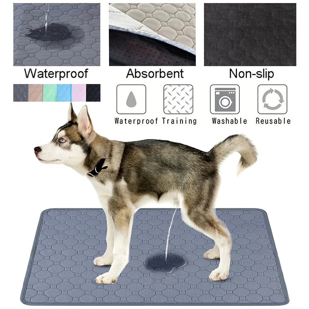 Tappetino Lavabile per Urina di Cane, Riutilizzabile, Antiscivolo, Tappetini Assorbenti per Cuccioli, Tappetino per Addestramento, Coprisedile per Auto, Accessori per Animali Domestici