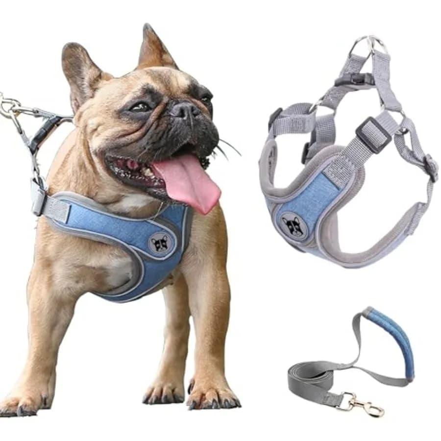 Medium Dog Harness and Leash Set, No Pull Adjustable Step in Soft Mesh Vest Harness, Easy Walk Reflective Pet Harness with Padd