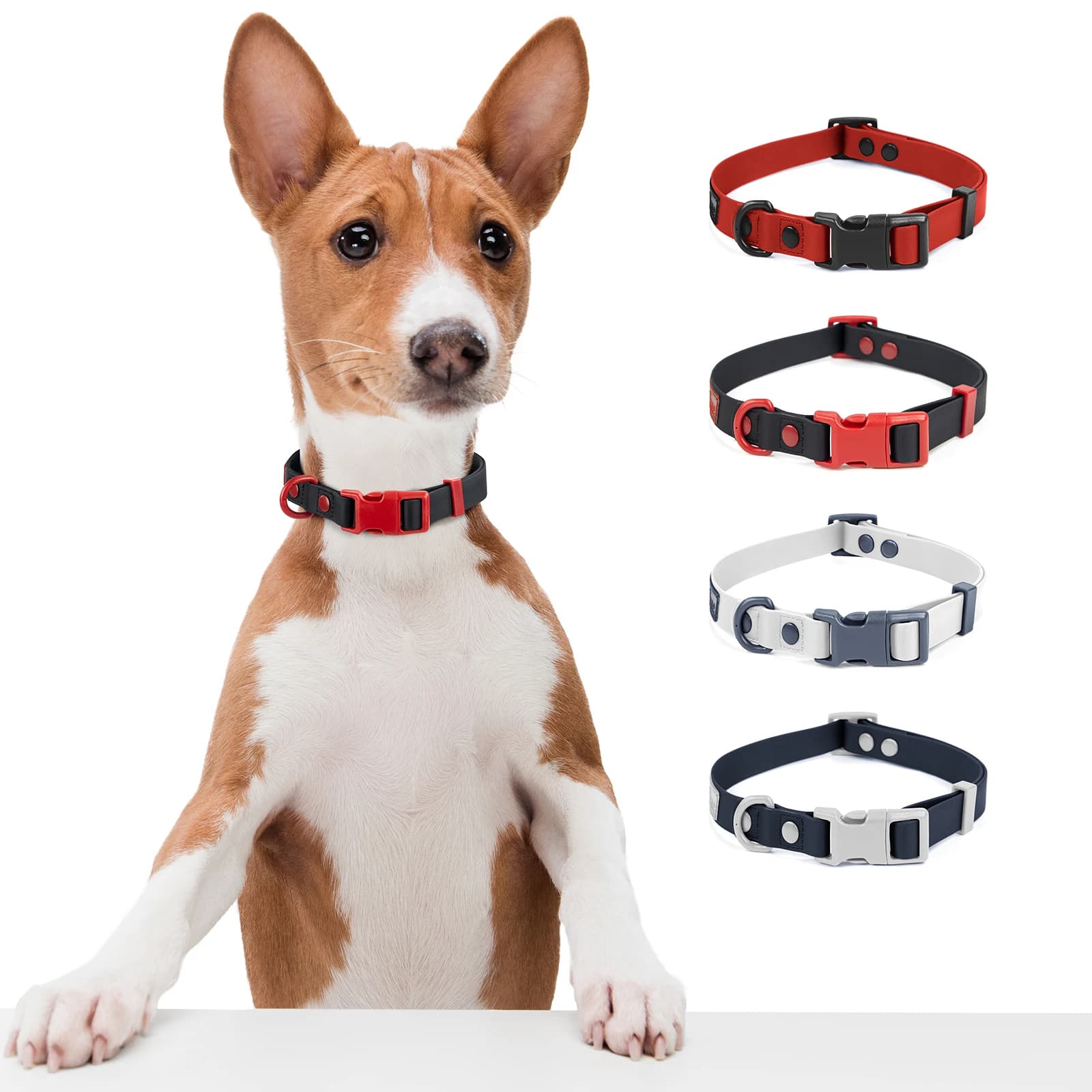 Collari per cani universali impermeabili facili da pulire con fibbia in gomma PVC per collare per cani di taglia media e piccola per gatti