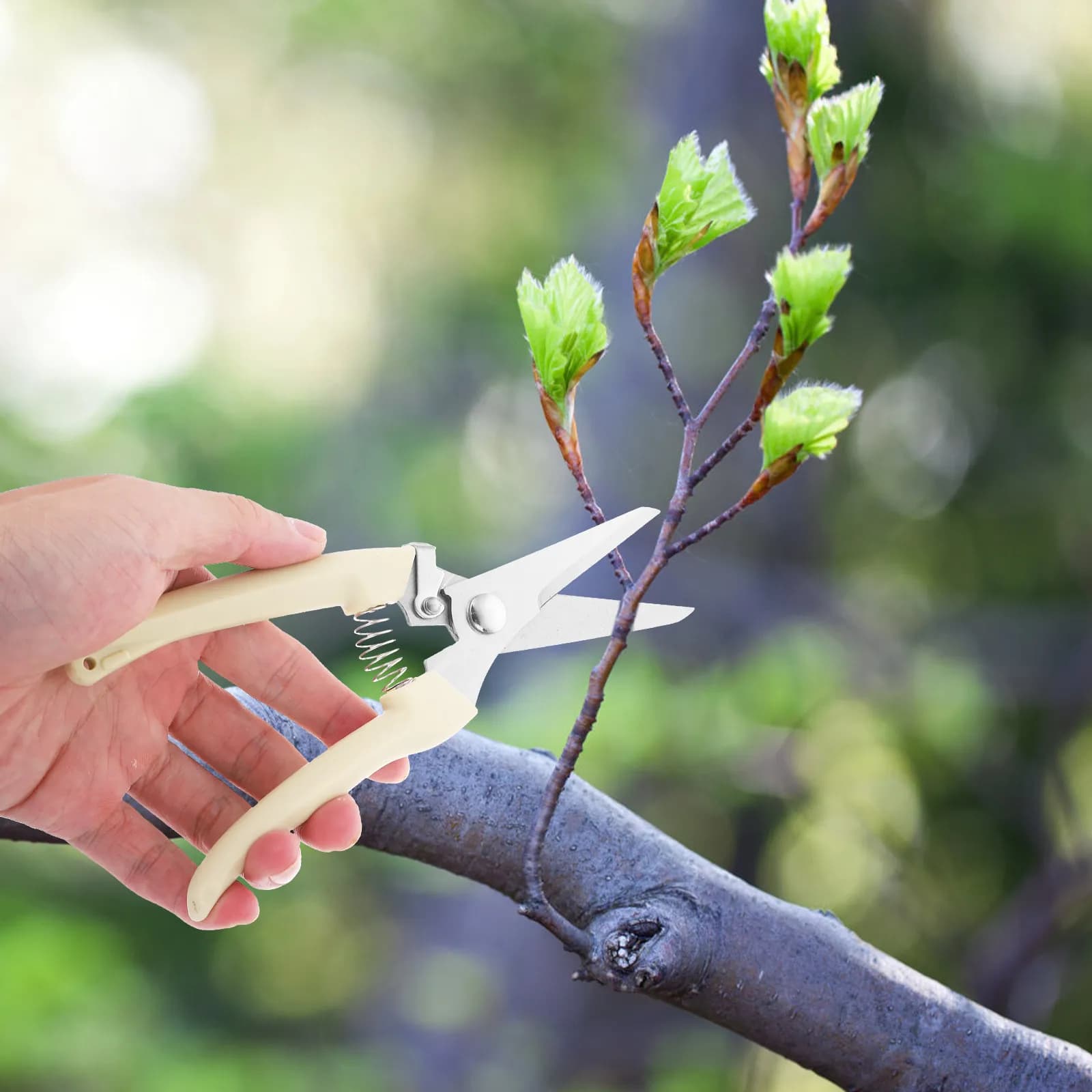 Premium Power Scissors in Stainless Steel Lightweight for Coppers, Hedges and Small Trees, Garden Baskets