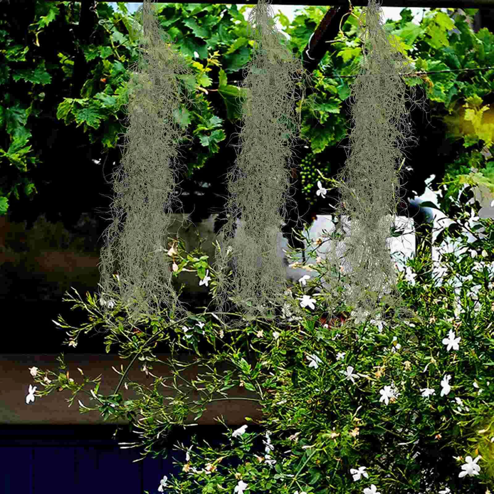 Muschio spagnolo per piante in vaso simulato appeso ghirlanda di vite vaso di fiori paesaggistica