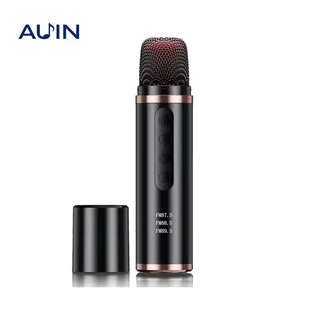 Mini lettore di microfoni karaoke Bluetooth per auto portatile Registrazione di canzoni Attrezzatura per trasmissione in diretta Microfono wireless per auto FM