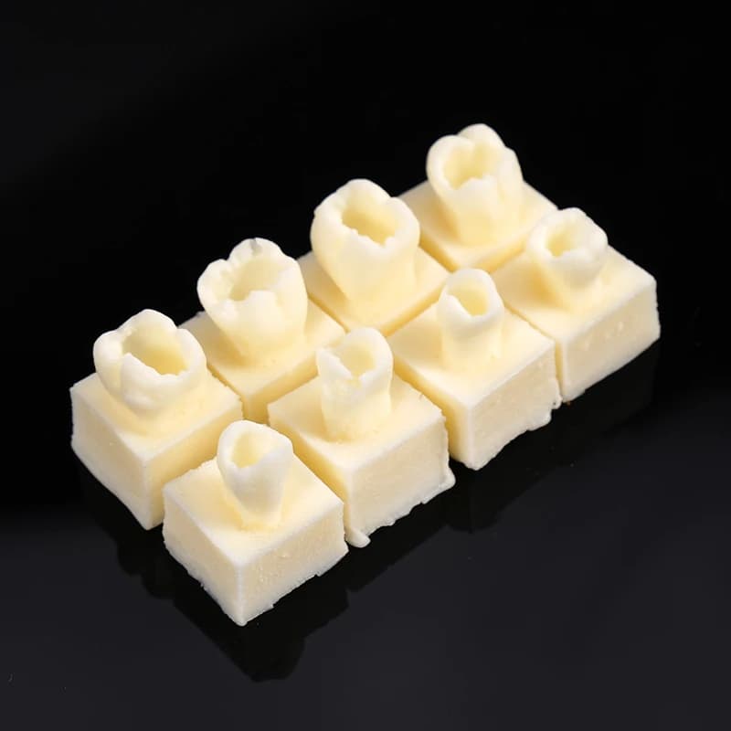 8 pz/set Resina Dentale Riempimento Denti Modello Dente Morphologia Formazione Resina Granulo di Riempimento Odontoiatria Riempimento Orale Strumenti di Pratica