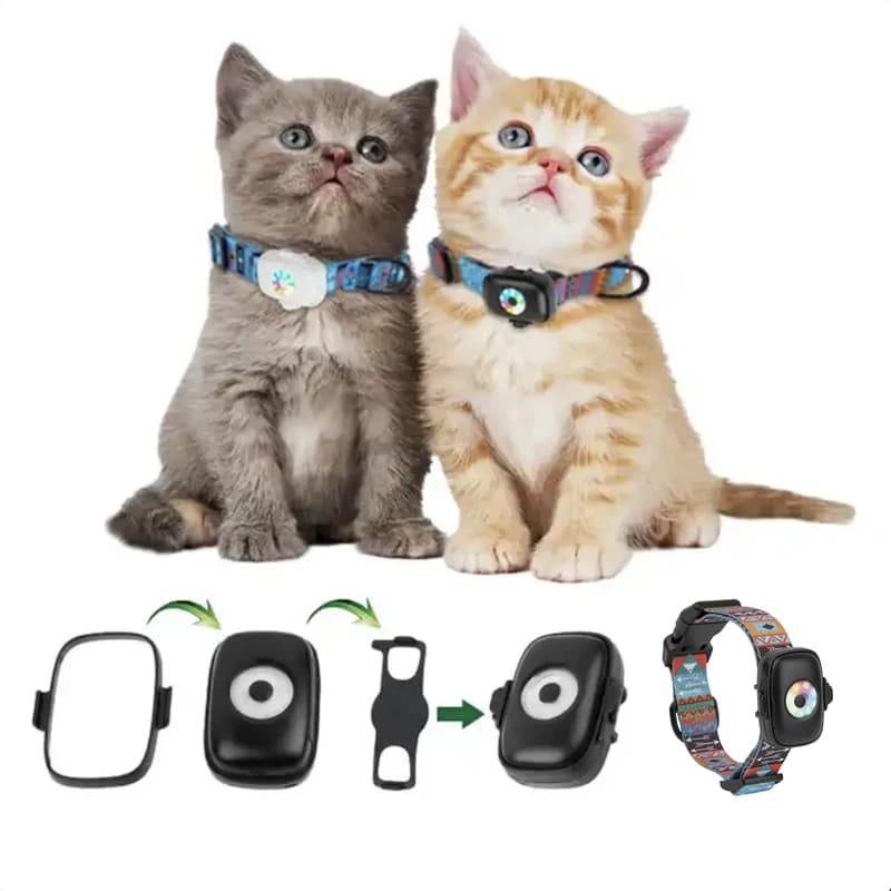 Mini localizzatore GPS 4g per cani con luci colorate Collare impermeabile APP gratuita Allarme batteria scarica Localizzatore in tempo reale anti-smarrimento per cani e gatti