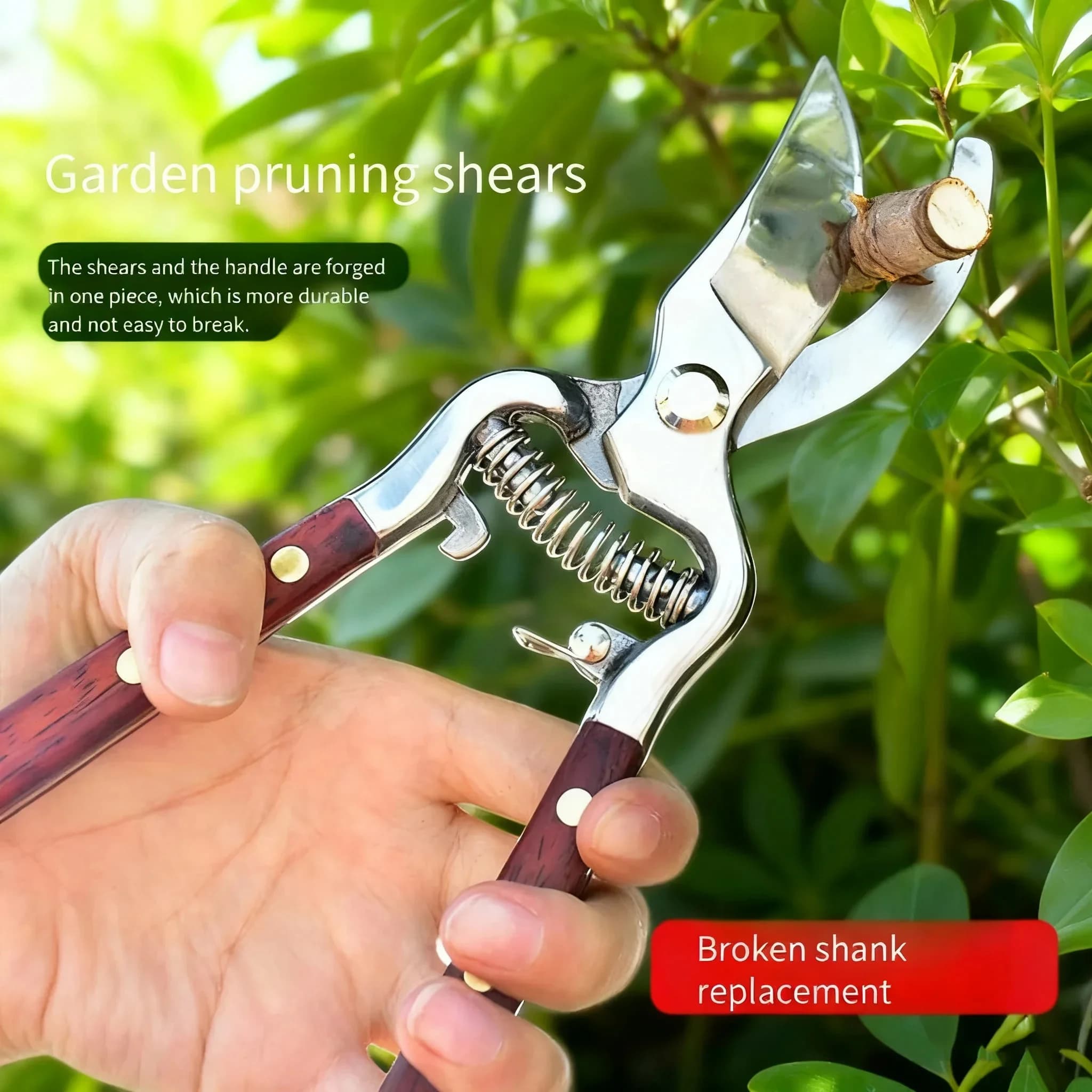 Professional pruning shears - Multipurpose garden scissors for thick branches, fruit trees and floral finishes