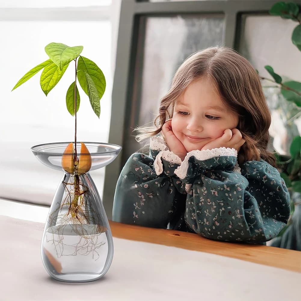 Avocado Seed Starter Vase Transparent avocado hydroponic vase Vese of avocado tree flowers in glass for gardeners