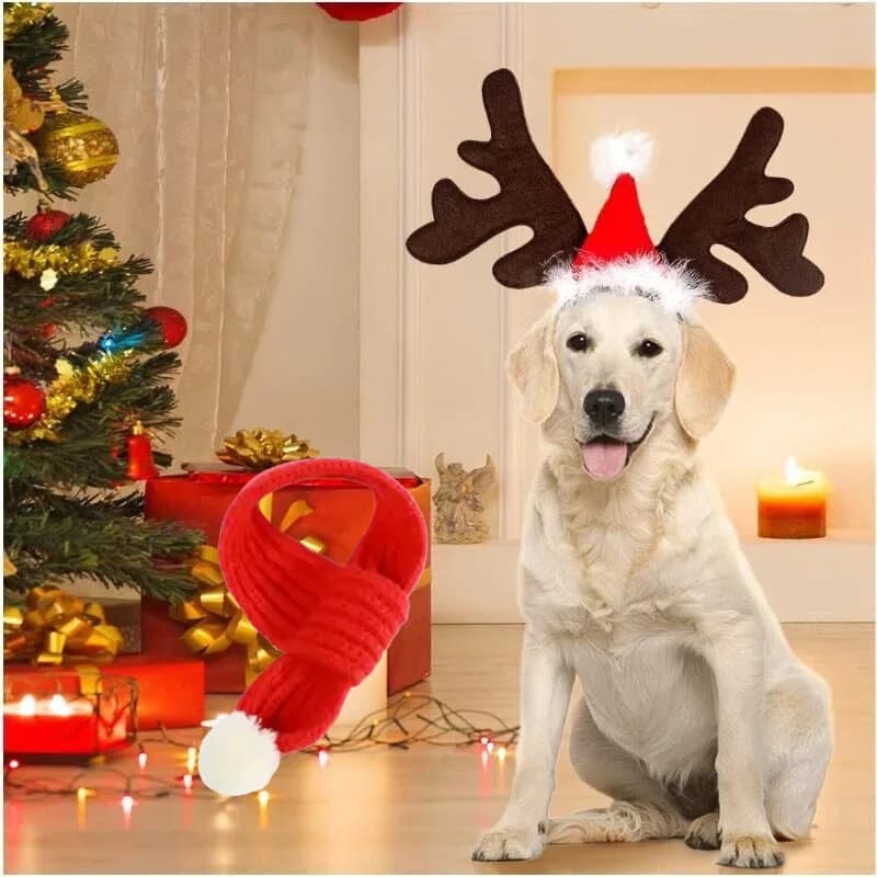 Animale domestico Natale Cosplay Corna Copricapo Cane Gatto Fascia per capelli Sciarpa Accessori Ragazzi Ragazze Copricapo Gioco di ruolo Puntelli Festa a tema natalizio