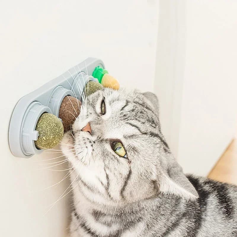4 in 1 Rotating Catnip Silver Vine Ball Teeth Cleaning Acne Prevention Digestive Health Wall Stick on Toy Edible Safe Material