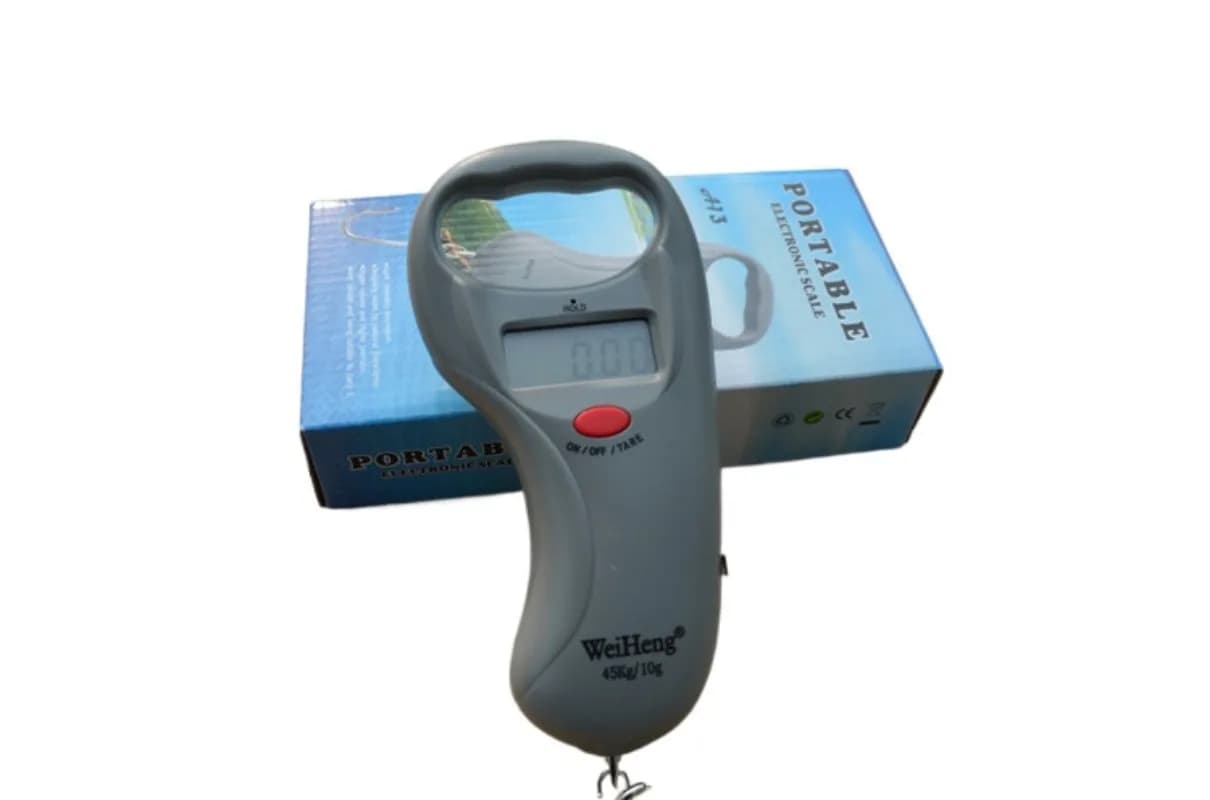 Bilancia Elettronica Portatile per Bagagli 45KG/10g con Display LCD Digitale per Viaggi, Cucina, Gioielli e Diamanti