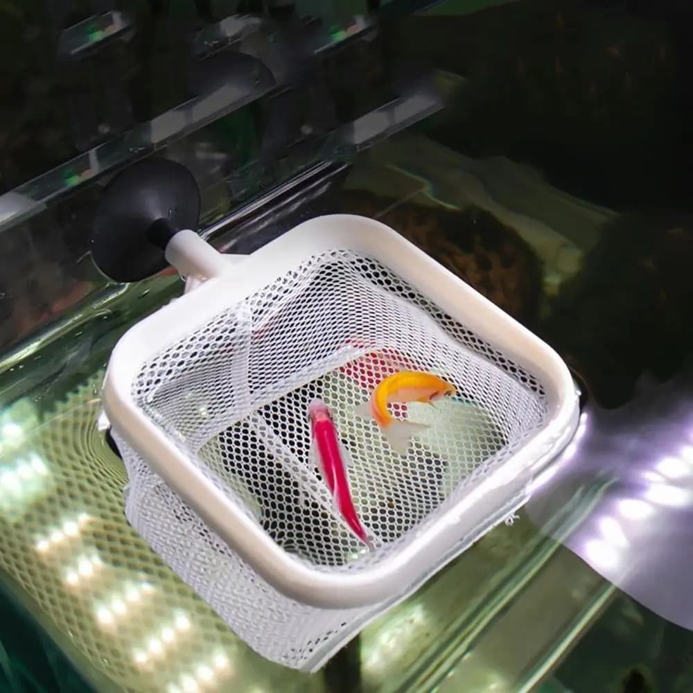 Rete per acquario allungabile in acciaio inossidabile – Pulitore per acquari con manico lungo per gamberetti, laghetti, piscine, pesca