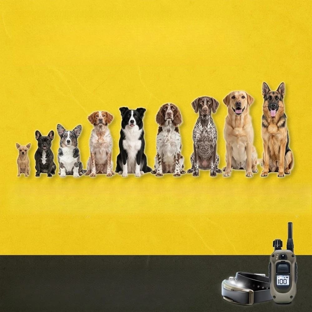 Nuova Edizione 1900X Collare Elettronico per Cani Difficili da 16 kg e Oltre, Portata 1,2 km, Telecomando con Luce LED, Impermeabile, Vibrazione, Suono, Funzione Boost