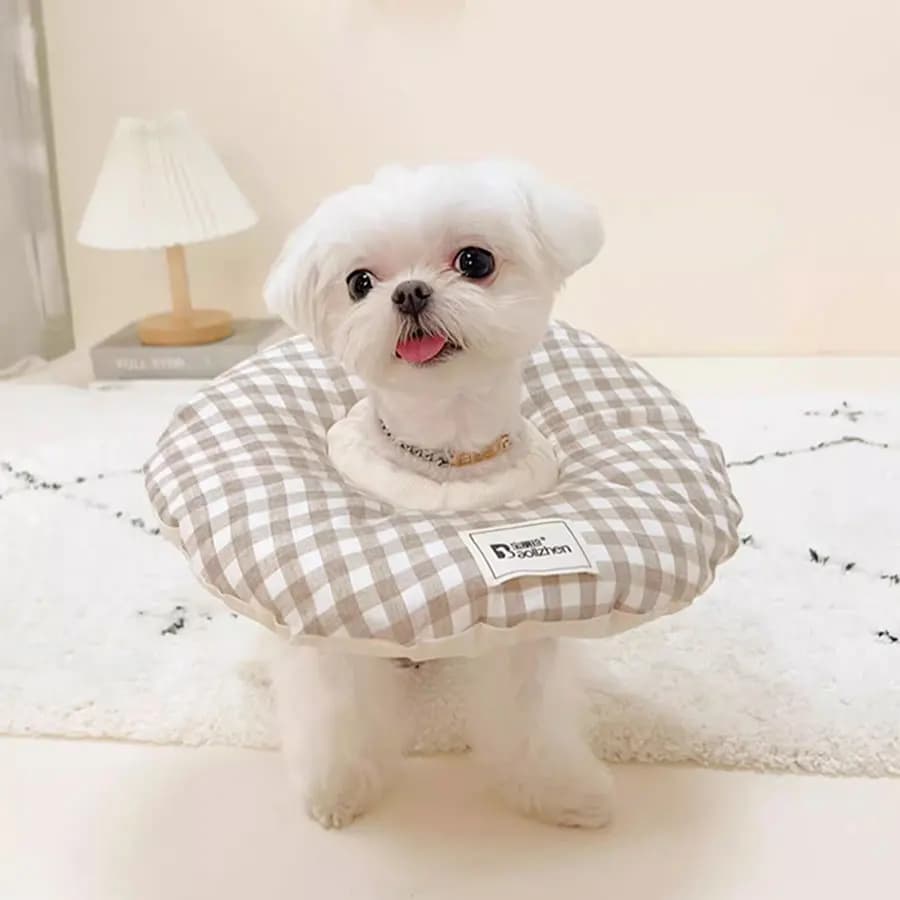 Cucciolo cono collare morbido, regolabile peluche Comfort Pet Elizabeth Circle Soft Cone per gatti ciambella simpatico gatto collare di recupero per gatti