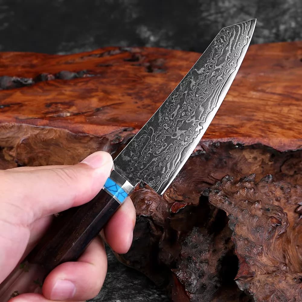 XITUO Kitchen Paring Knife 4 inch,Damascus Steel Fruit Knife,Japanese Multipurpose Peeling Knife for Cutting Fruit Vegetables