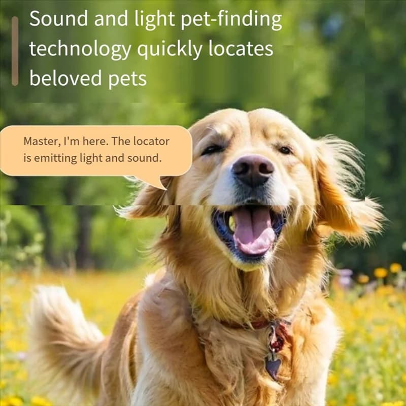 CQMF-4G Dog Tracking Collar Locator IP67 Waterproof With Google Map Real Time Tracking For Pets GPS Locator