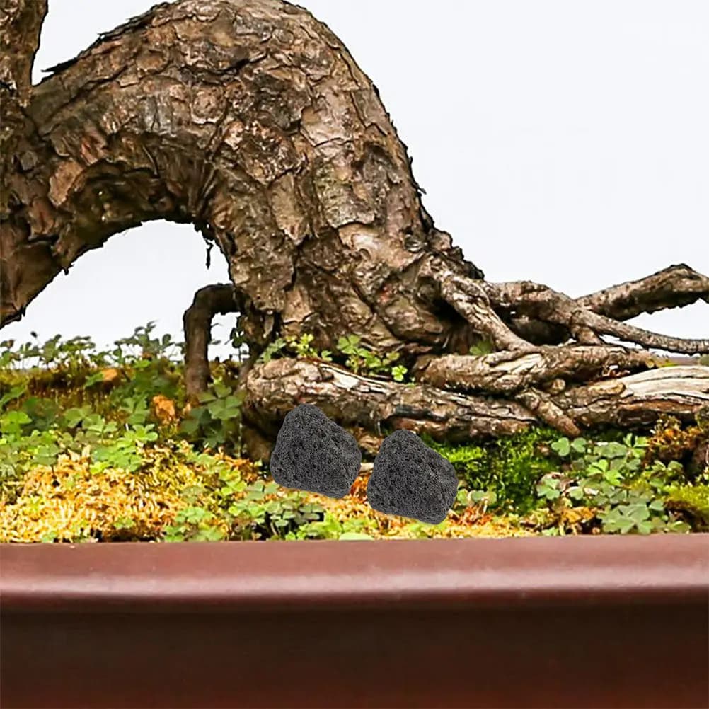Fish Tank Volcanic Rocks Natural Small Stones for Aquarium Potted Plants Clear Water Filter Nitrification Volcanic Stone