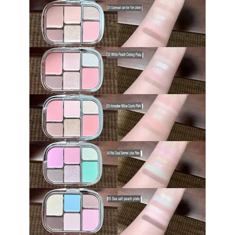 Zhiyouquan Six-color Comprehensive Eyeshadow Palette Model, Under-eye Shadow Palette, Eyeliner, Blush, Highlighter 2026 New