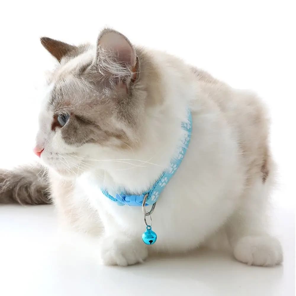 Set Pettorina e Guinzaglio per Gatti in Poliestere con Campanello e Motivo a Zampa, Gilet da Passeggio per Animali Domestici, Pettorina Colorata Staccabile per Cani e Gattini