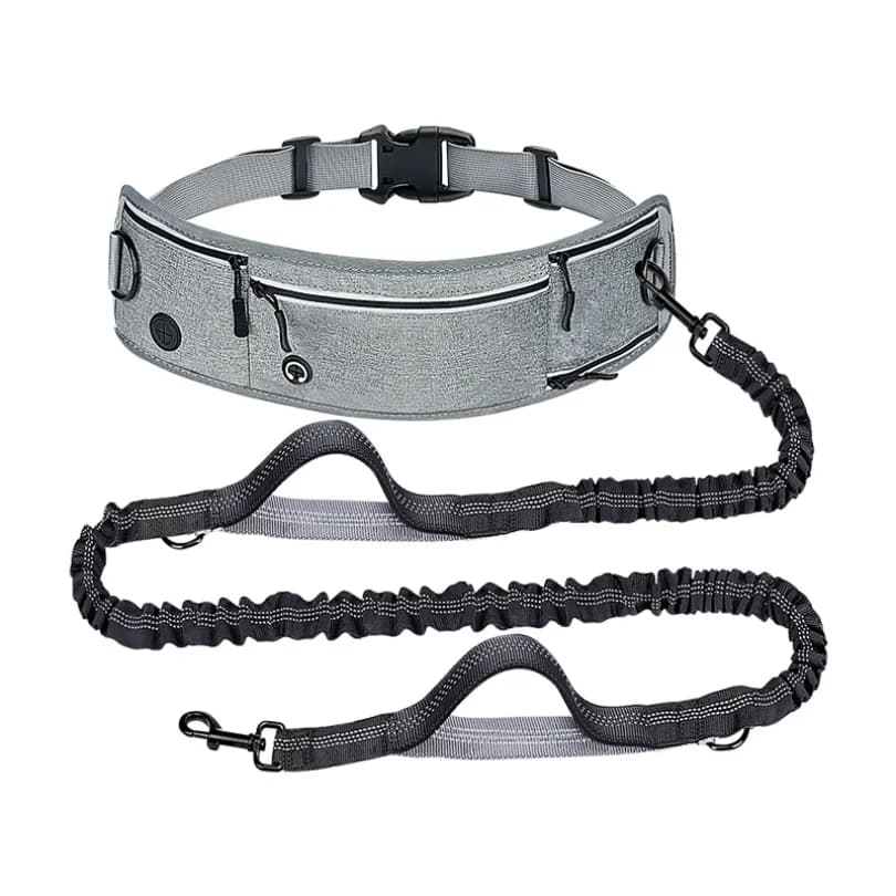 Hands Free Anti Shock Dog Leash Reflective Nylon Waist Belt Stretch Pet Lead For Jog Walk