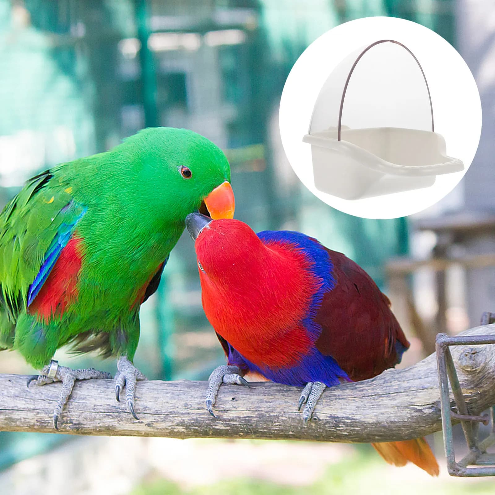 Mangiatoia per Pappagalli da Appendere, Contenitore in Plastica per Cibo per Uccelli, Uso Esterno, Superficie Resistente alle Intemperie, Design Creativo e Naturale per Giardino e Villa