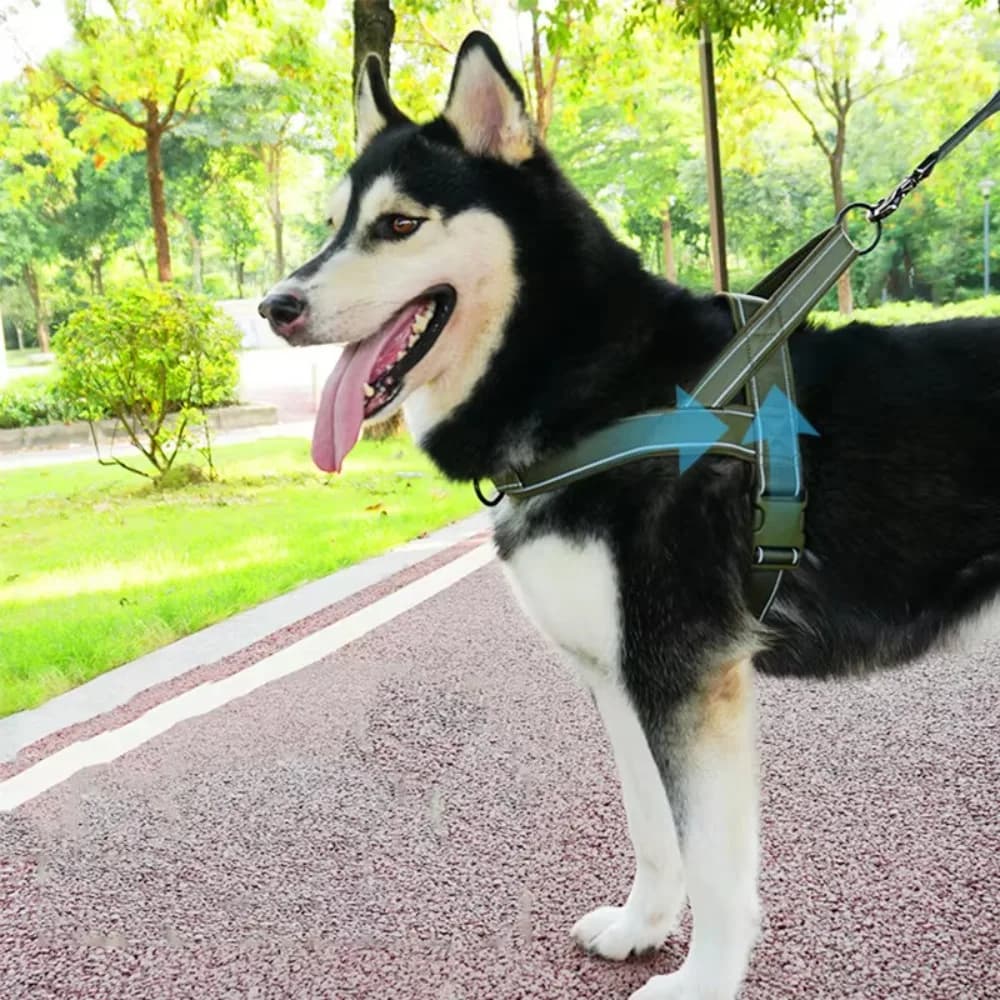 Gilet per imbracatura da passeggio per animali domestici in nylon con strisce riflettenti Gilet per guinzaglio per cani da passeggio regolabile Resistente all'usura a prova di esplosione