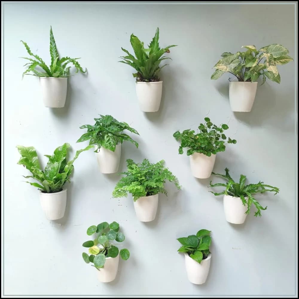 Set di 10 Fioriere da Parete Autoirriganti per Piante da Interno, Vasi in Plastica Bianca da 5 Pollici con Ganci